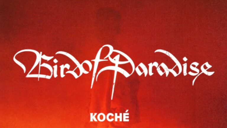 Koché - Bird Of Paradise - Fall Winter 2021 10 Bird Of Paradise