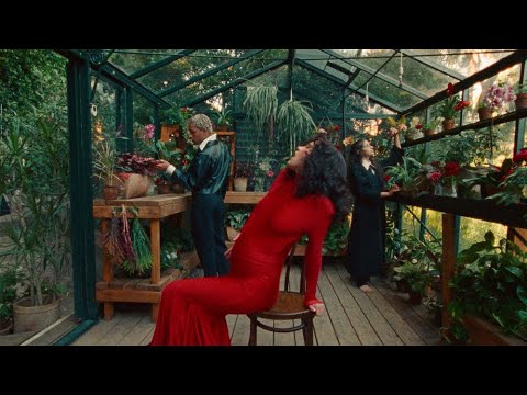 Suki Waterhouse - Omg (Official Video)