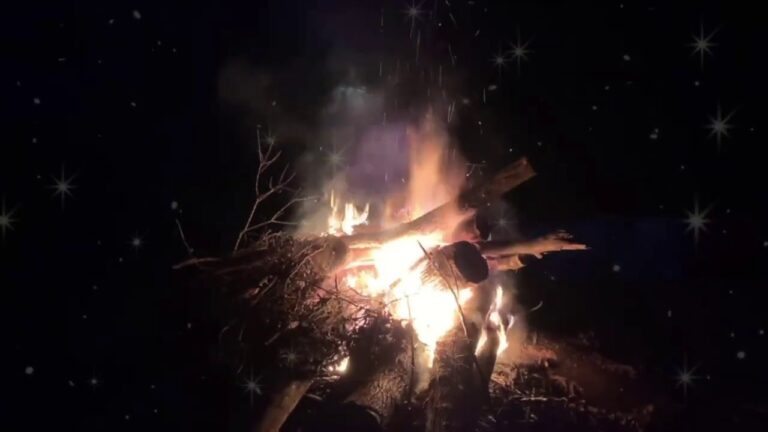 Taylor Swift - Willow (Lonely Witch Version) - [Yule Log]