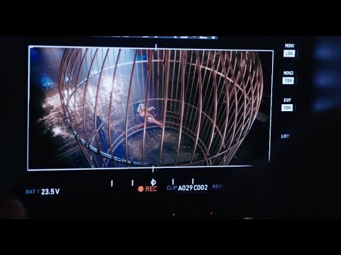 Look What You Made Me Do - The Birdcage 4 Look What You Made Me Do - The Birdcage