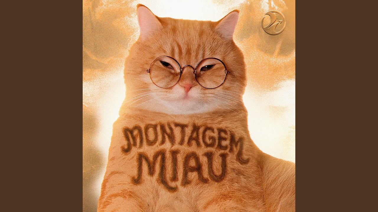 Montagem Miau