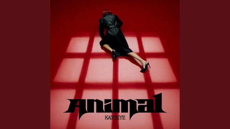 Animal 3 Animal